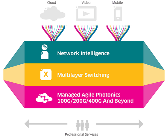 Networking Solution