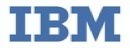 IBM Partner