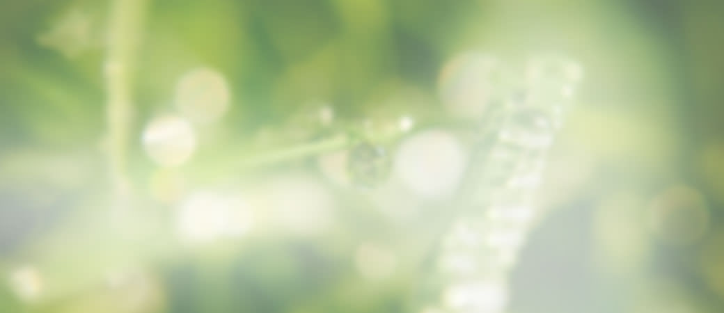 Nurture Growth