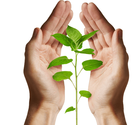 Nurture Growth